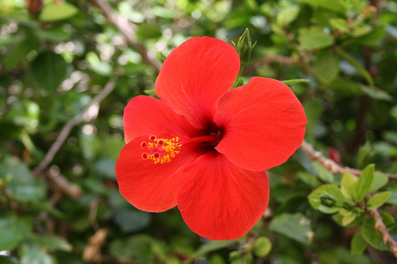 Rodos 2007 1024
